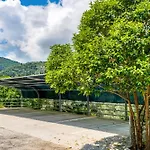 Nikoleta 2
